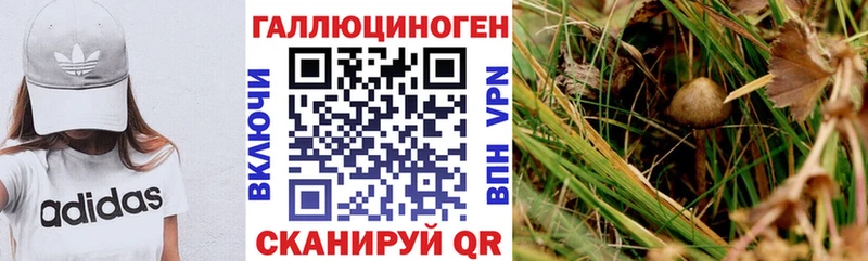 Галлюциногенные грибы Magic Shrooms  Белорецк 