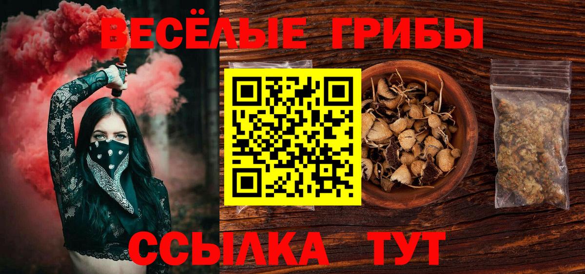 Псилоцибиновые грибы Psilocybe  Вход с VPN  где продают   Белорецк 